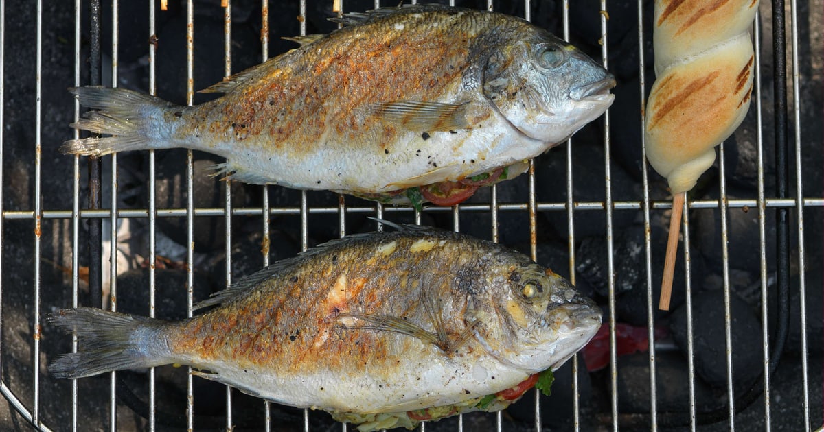 Dorade mit Tomaten und Artischocken | Rezept