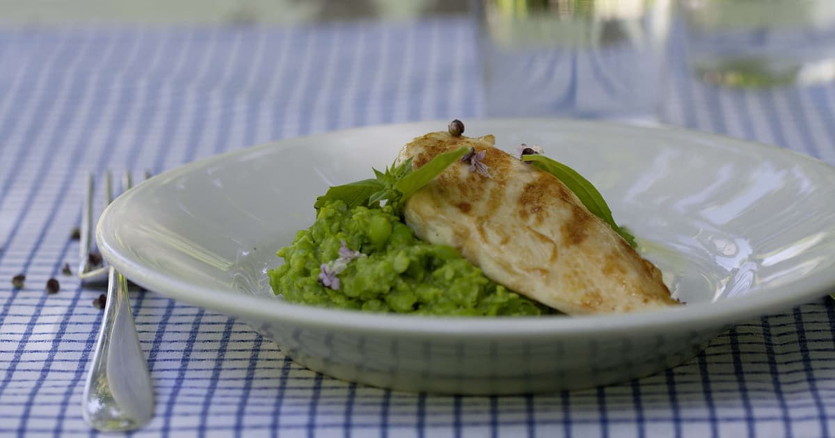 Petti Di Pollo Su Purea Di Piselli Migusto
