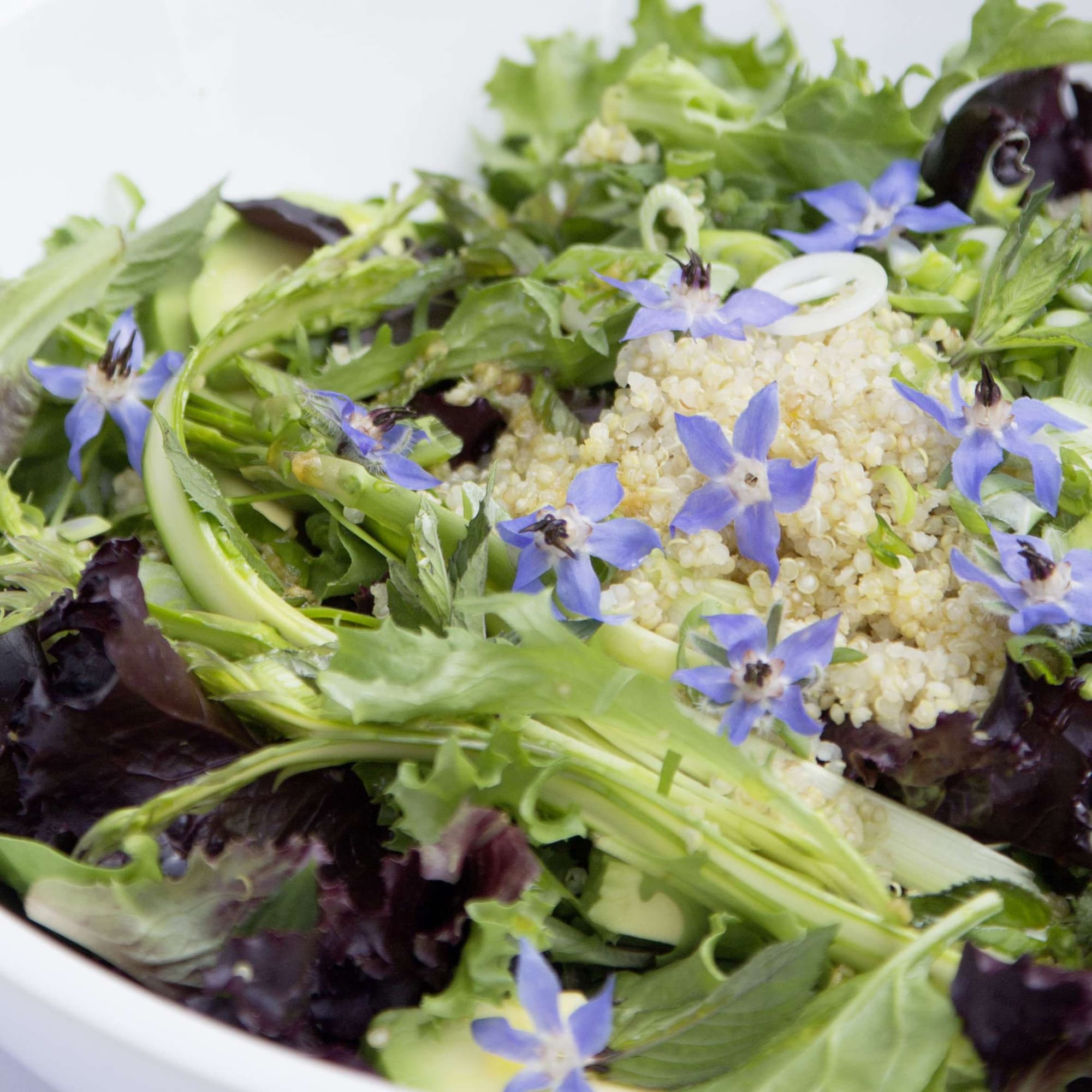 Spargelsalat mit Orangen und Kerbel | Migusto