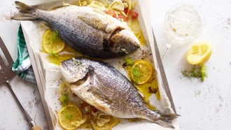 Dorade mit Fenchel