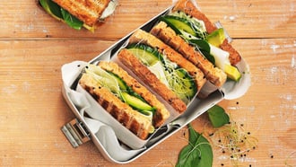 Green sandwich
