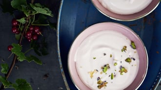Crème aux groseilles avec croquant aux pistaches et à la lavande
