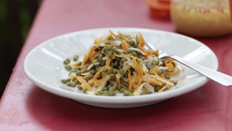 Salade de lentilles avec radis et carottes râpés