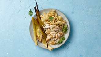 Sminuzzato di pollo con salsa alla panna e ai funghi