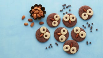 Biscuits hiboux