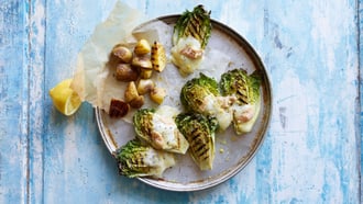 Mini-Lattich mit Taleggio
