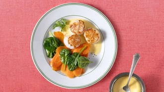 Jakobsmuscheln mit Sauce hollandaise