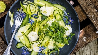 Ceviche de noix de Saint-Jacques aux fleurs de fenouil