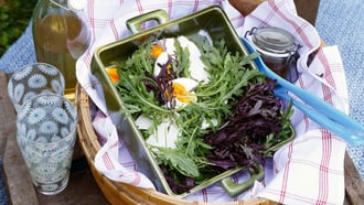 Salade de roquette à la mozzarella