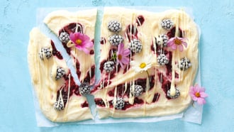 Frozen yogurt bark alle more