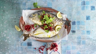 Orientalische Dorade