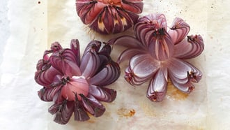 Röstzwiebelblume