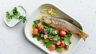 Saibling mit Rhabarbergemüse