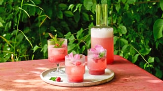 Beeren-Shrub