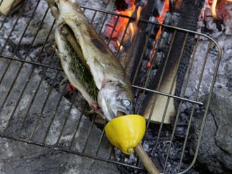 Broche Poisson Truite De Lac – Pin's Neuf Sous Blister