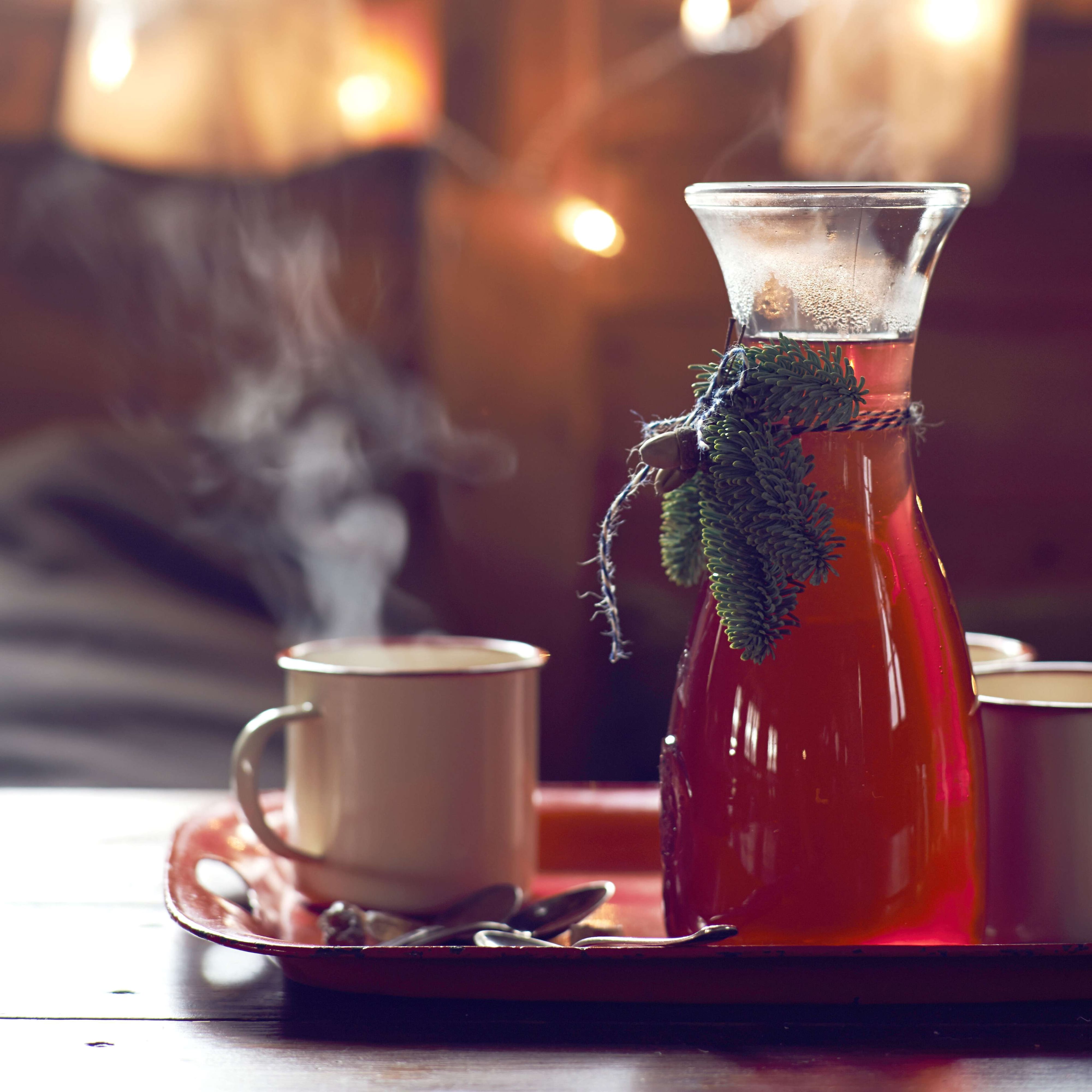 Orangen-Cranberry-Punsch | Rezept
