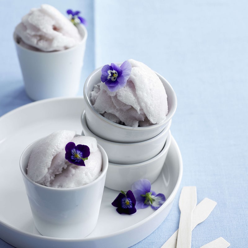 Kokos-Lavendel-Sorbet | Rezept
