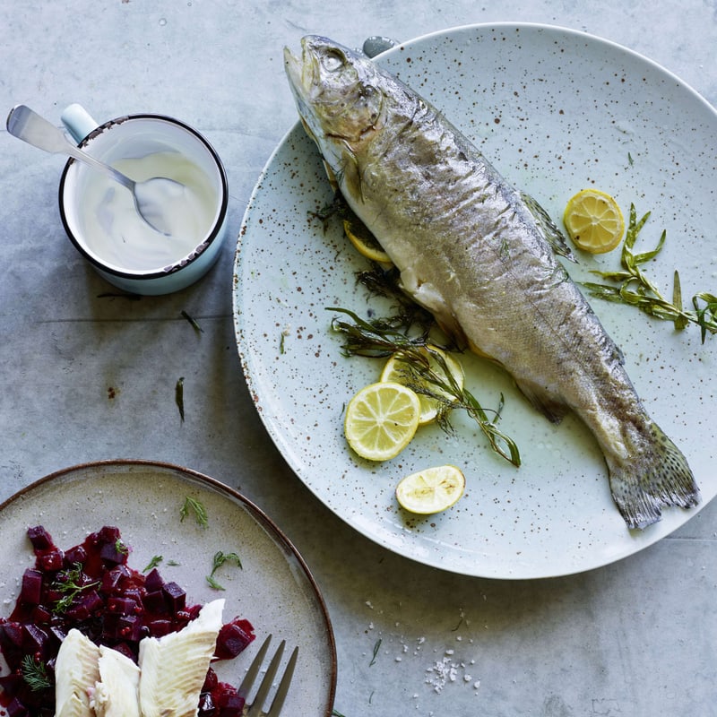 Forellenfilet mit Chilikruste auf Zitronen-Gurken-Salat | Rezept