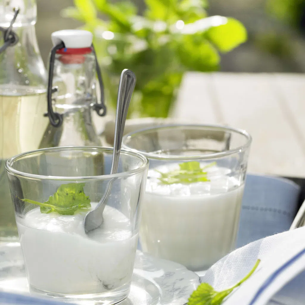 Holunderblütencreme