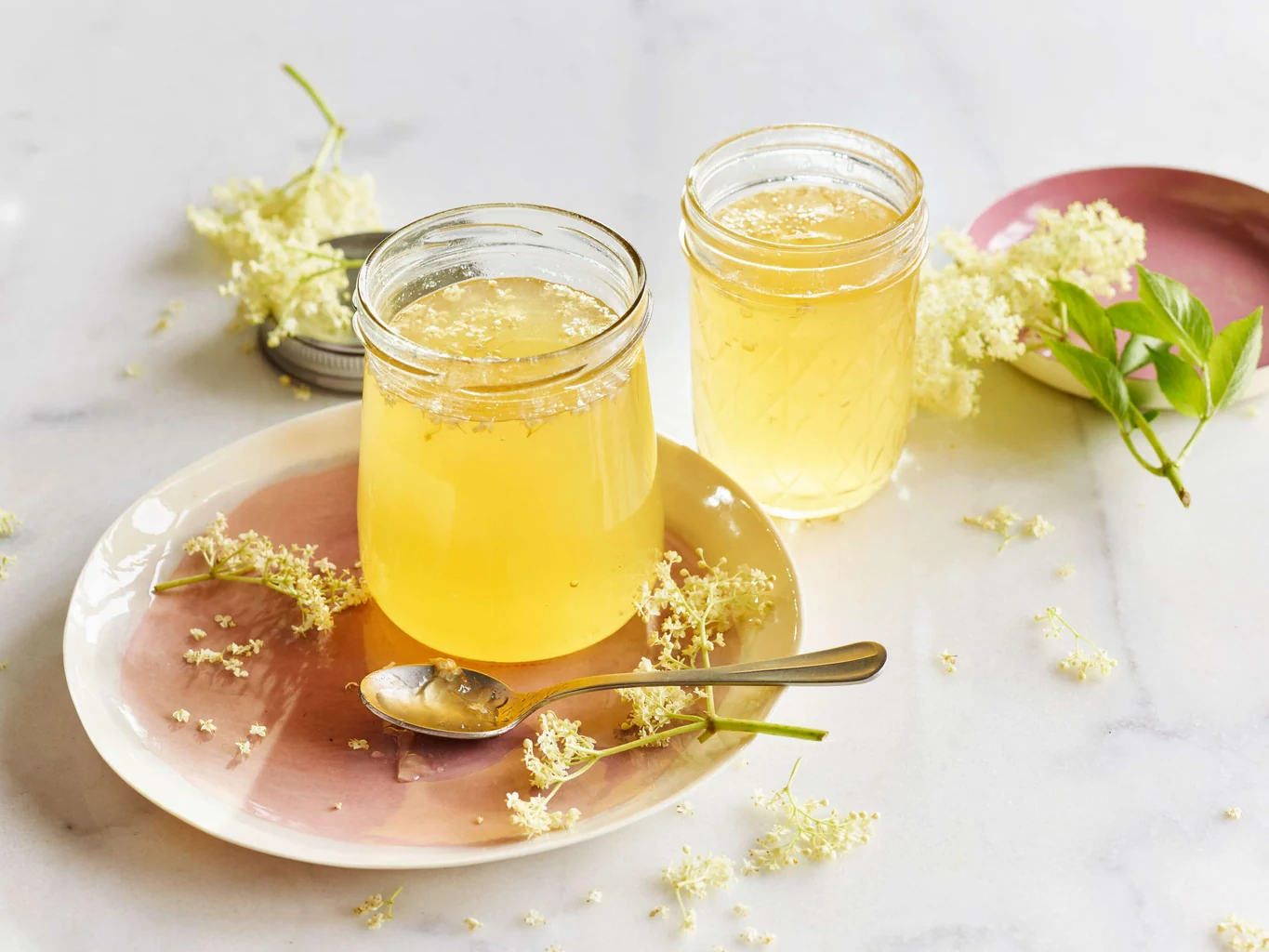 Gelatina di succo di mele al sambuco