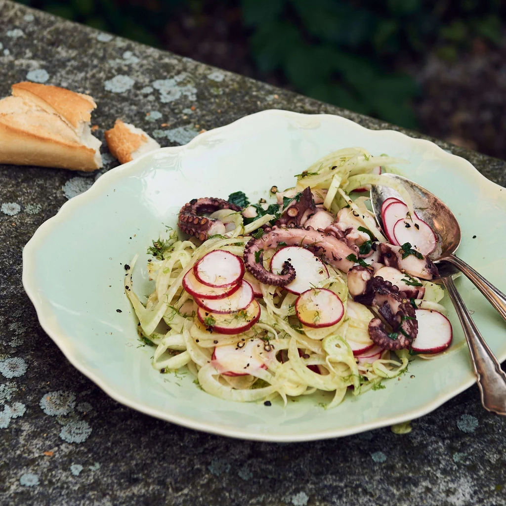 Polpo tiepido su insalata di finocchi
