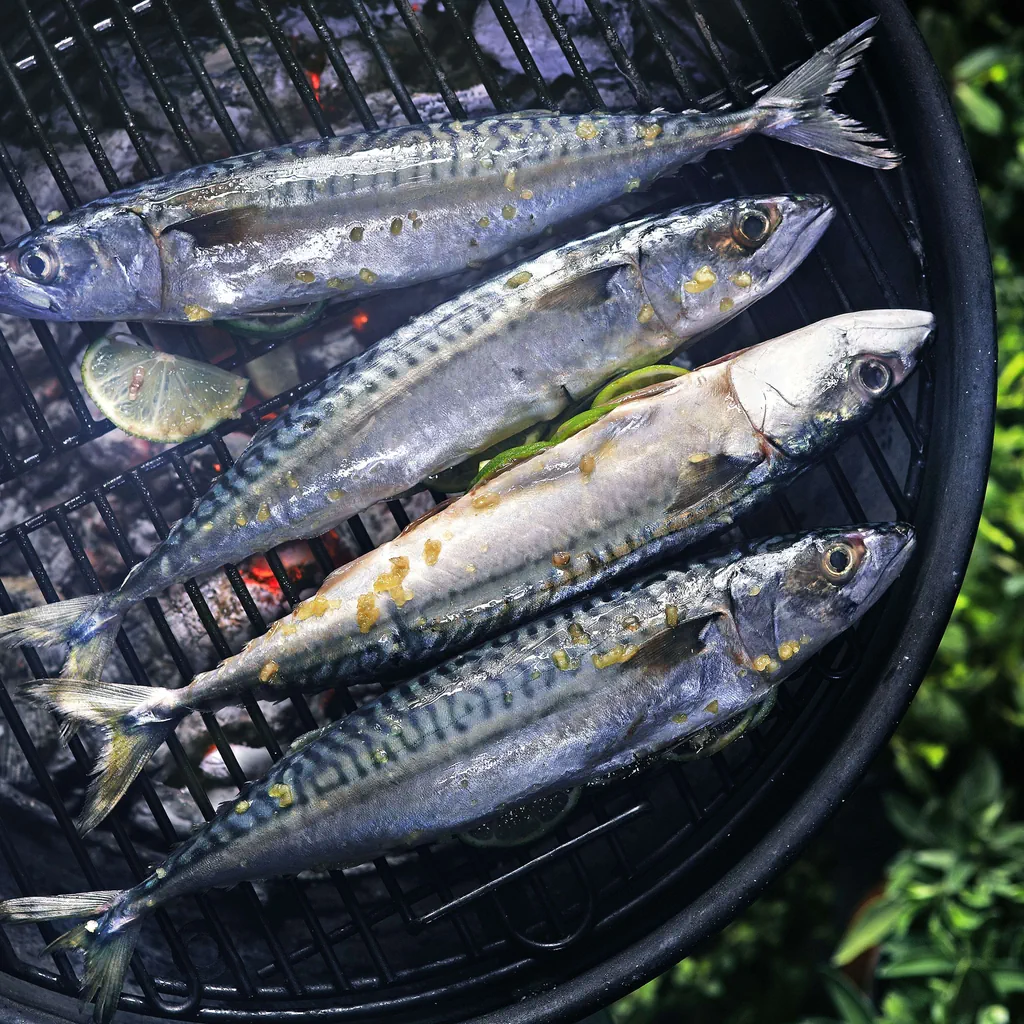 Maquereau grillé