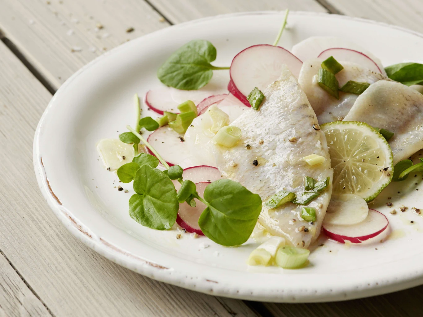 Ceviche di persico con ramolaccio e ravanelli
