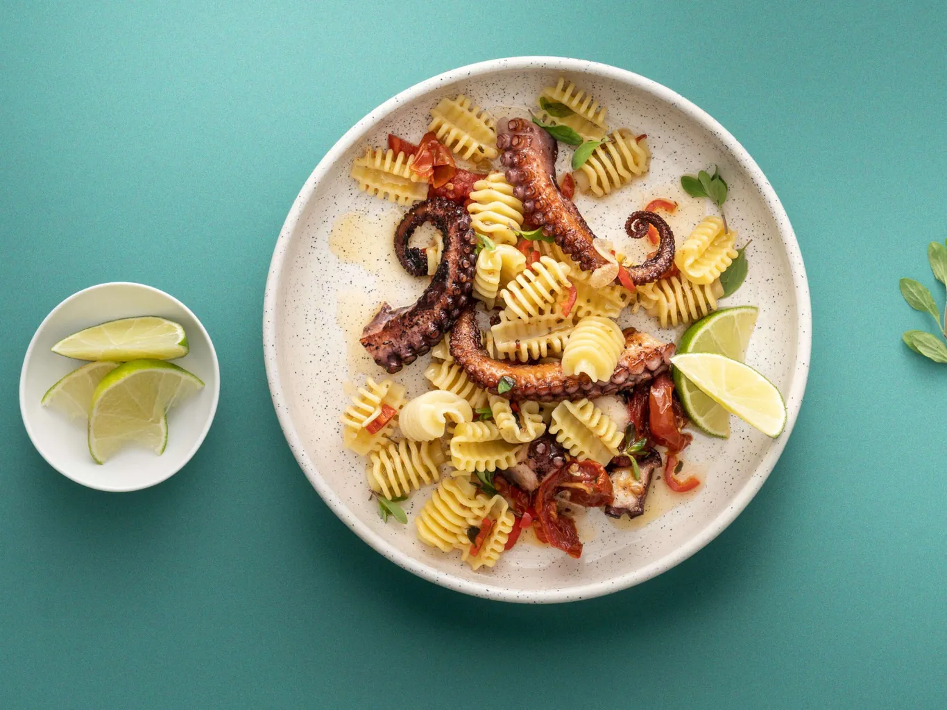 Radiatori mit Pulpo