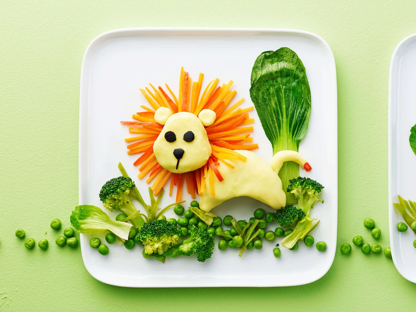 Kartoffelstocklöwe
