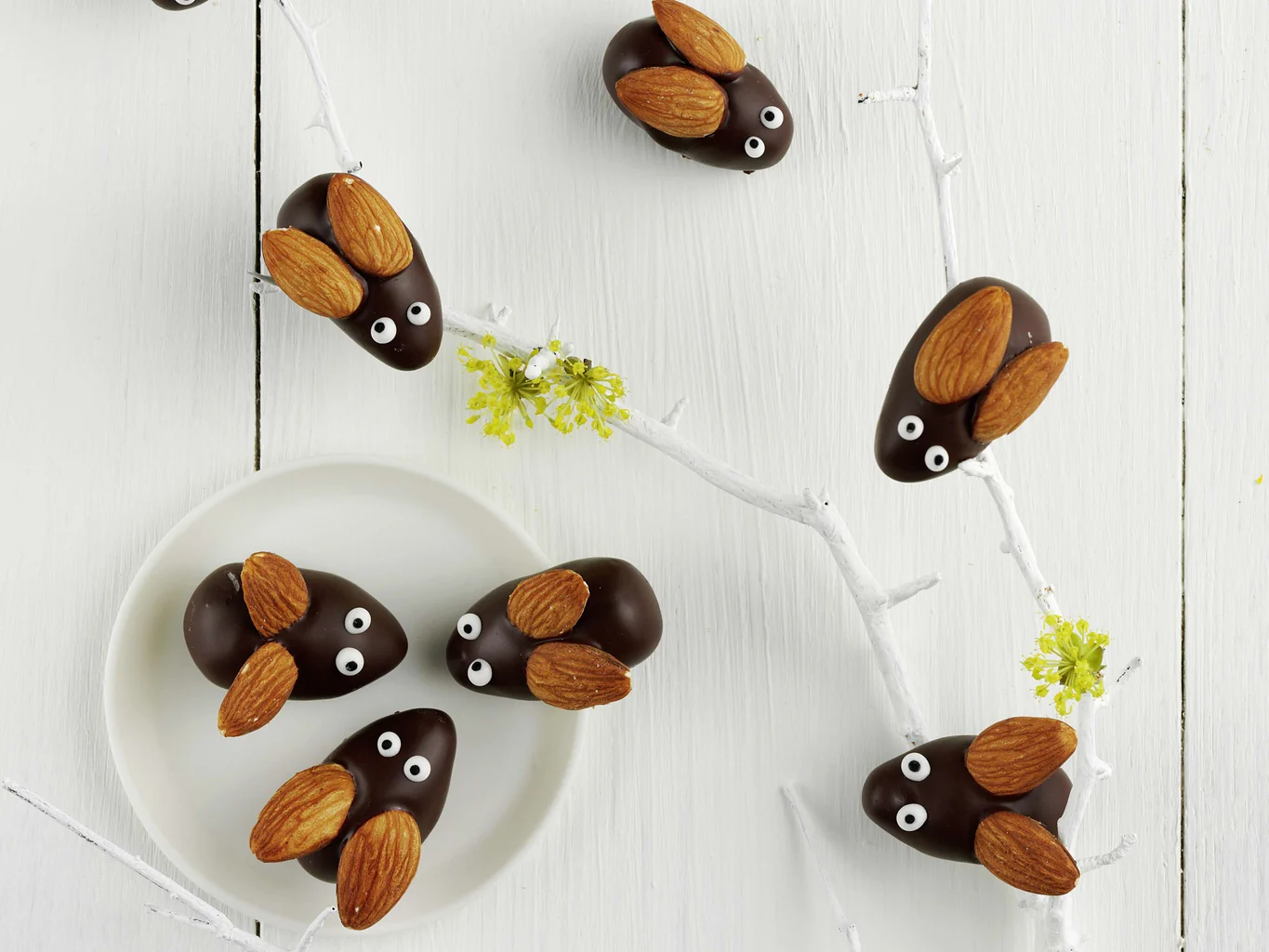Hannetons en chocolat