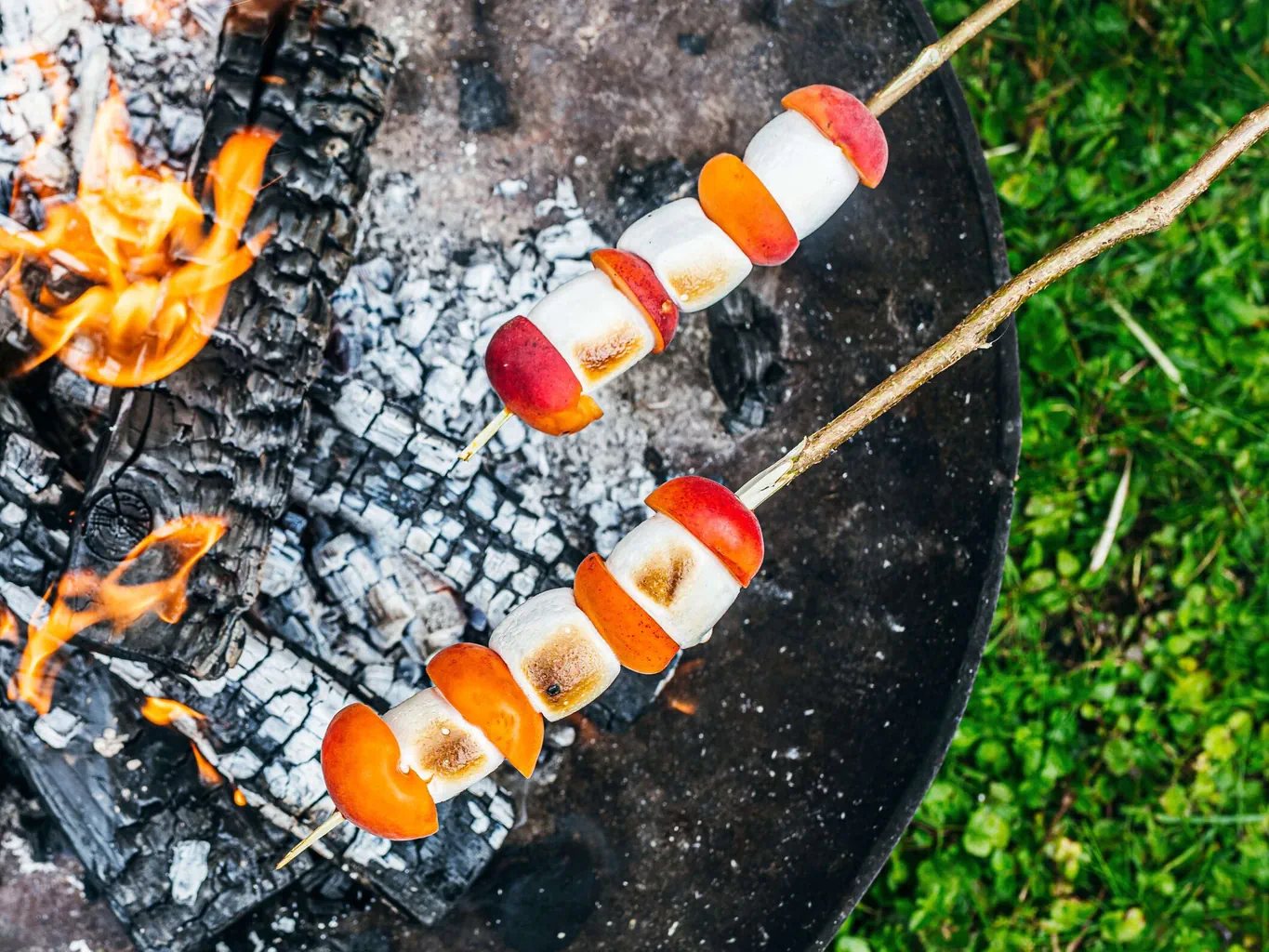 Marshmallow-Aprikosen am Stecken