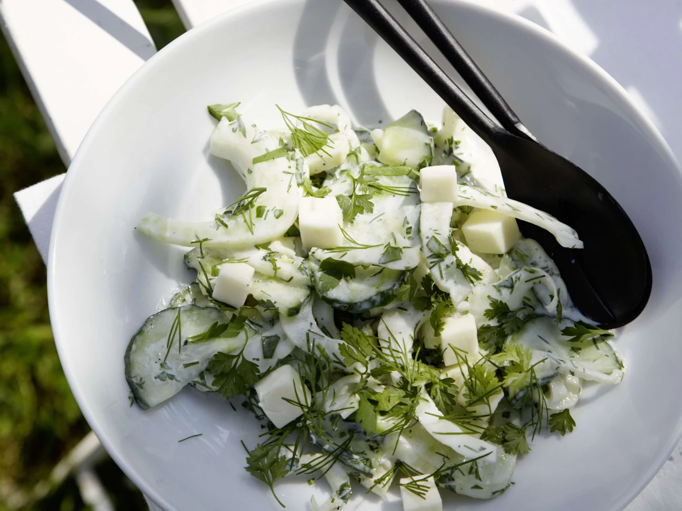 Insalata di cetrioli e finocchi con aneto e cerfoglio