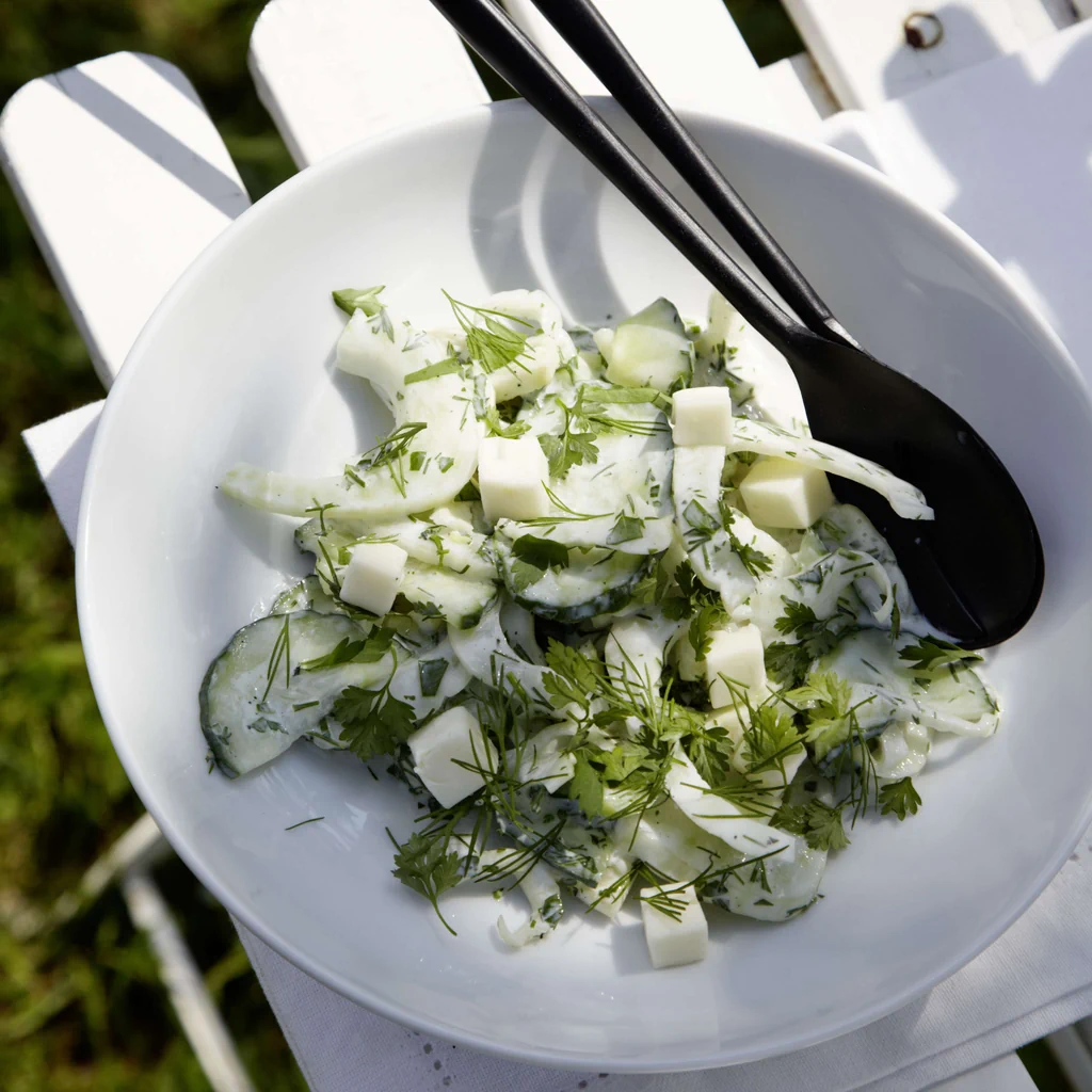 Insalata di cetrioli e finocchi con aneto e cerfoglio