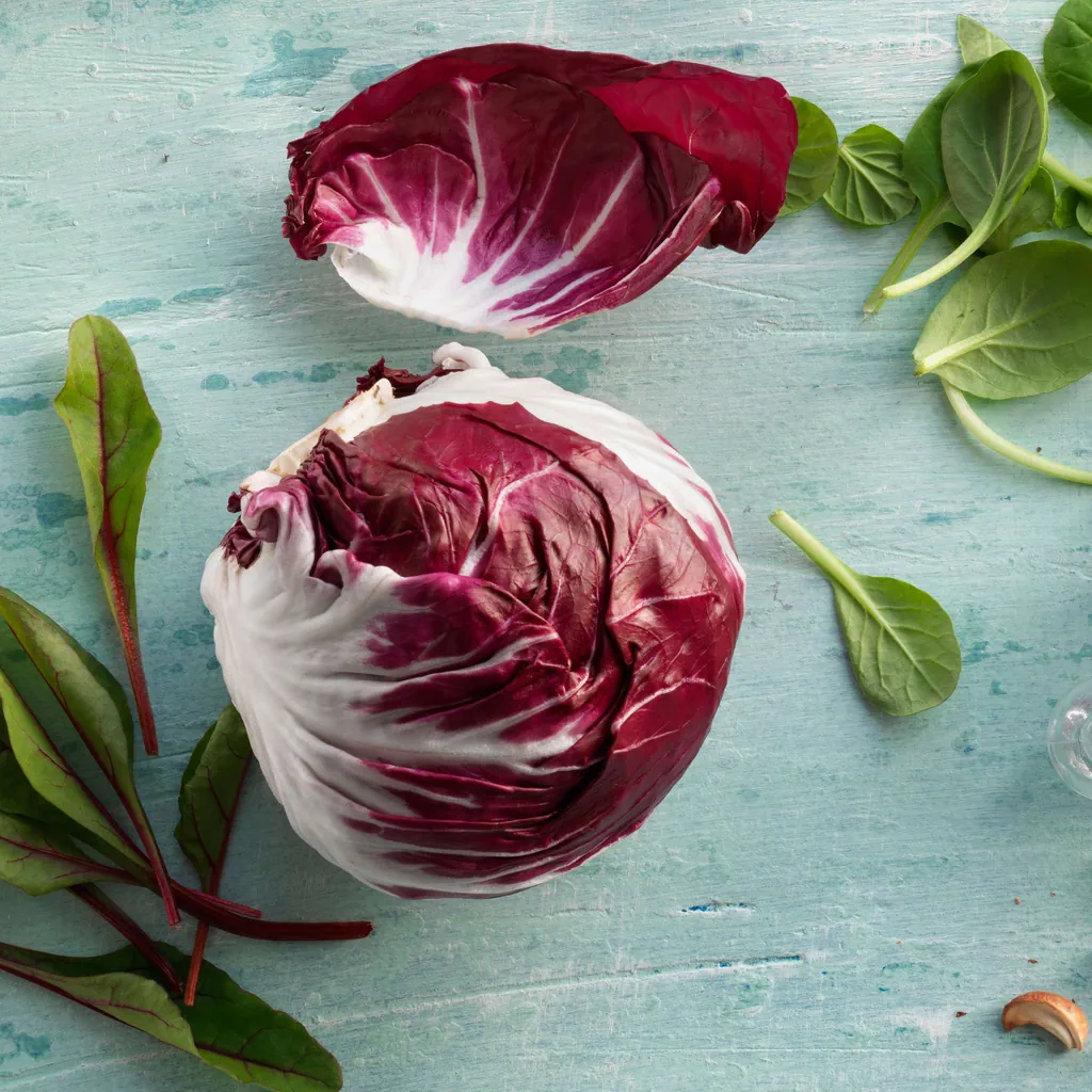 Salade mêlée et chicorée rouge avec vinaigrette à l’ail