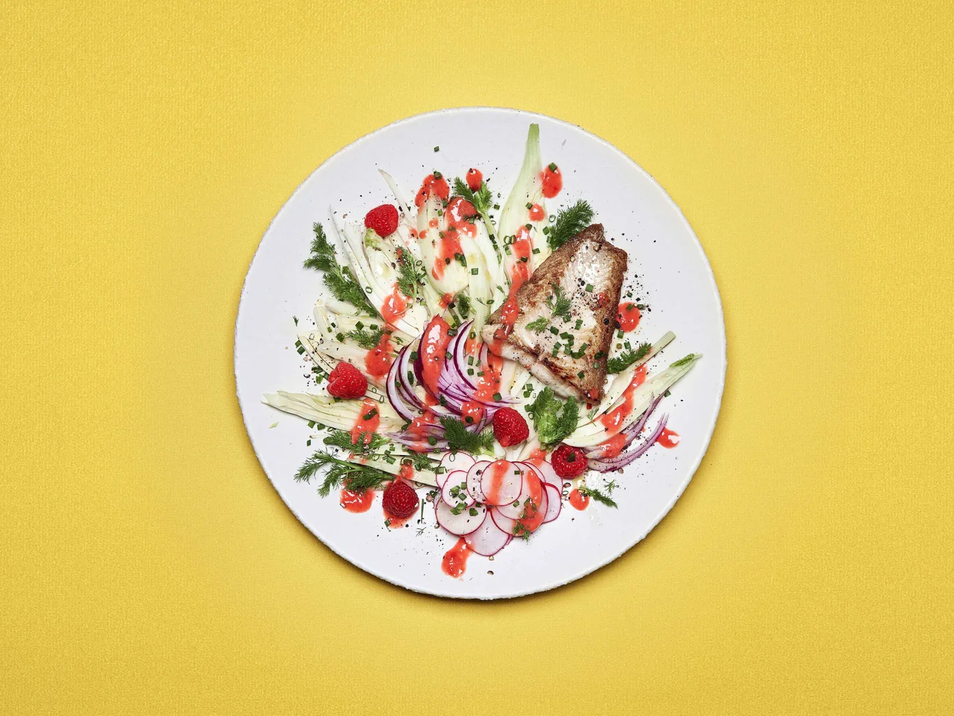 Salade de fenouil avec framboises et sandre