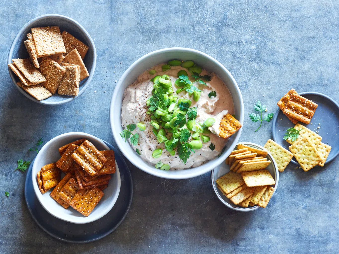 Thon-Dip mit Mini-Blévita