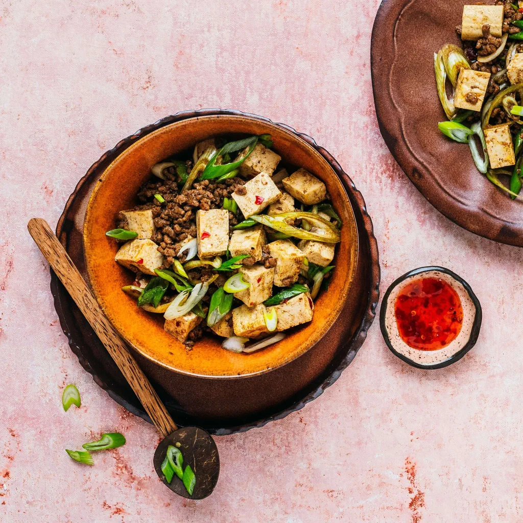 Mapo-Tofu
