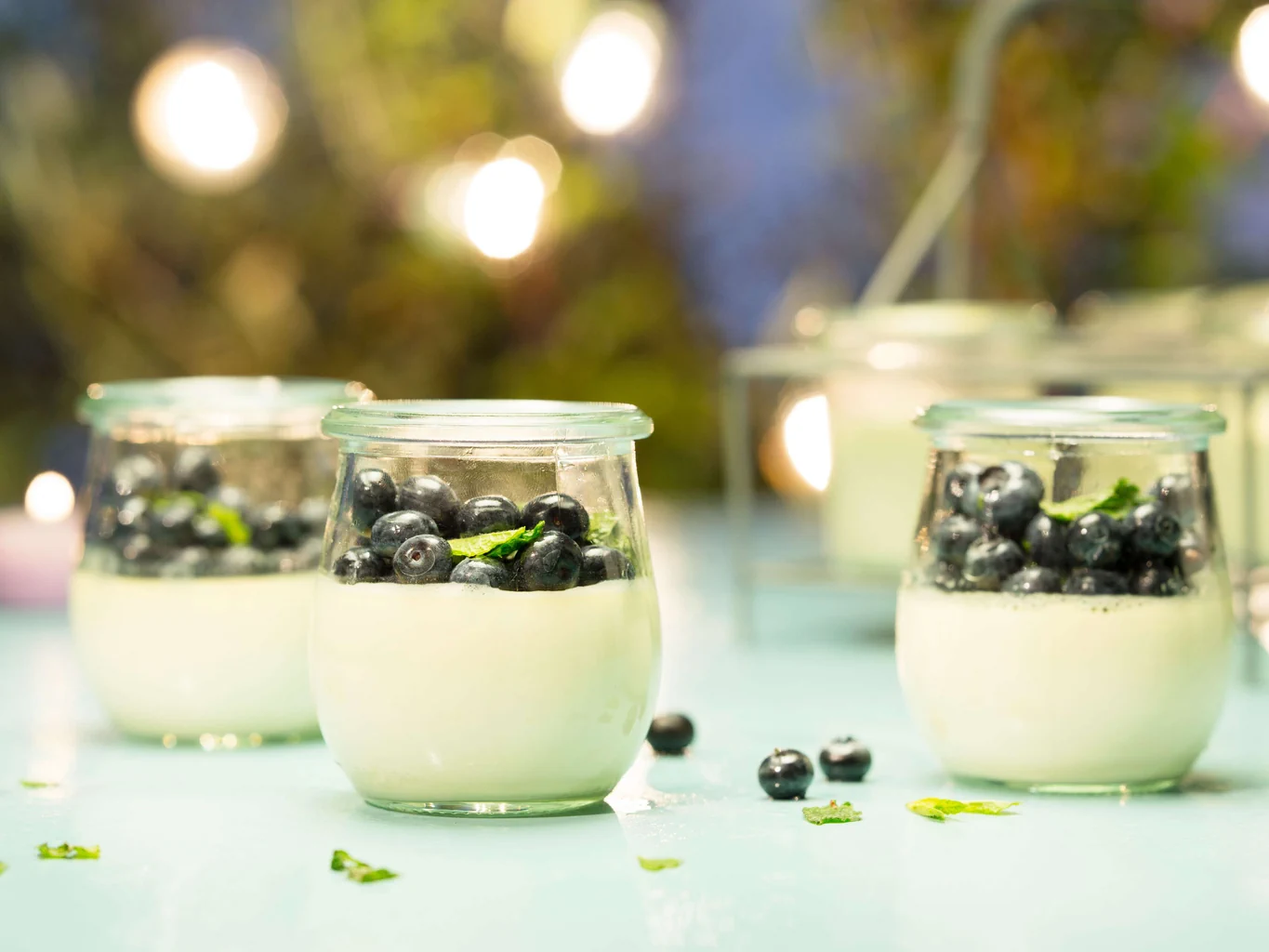 Panna cotta alla limetta con mirtilli