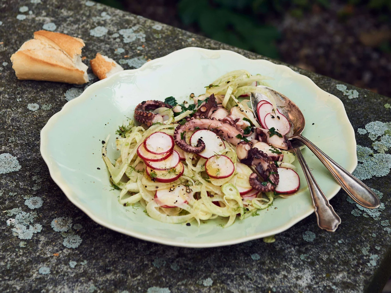 Lauwarmer Pulpo mit Fenchel