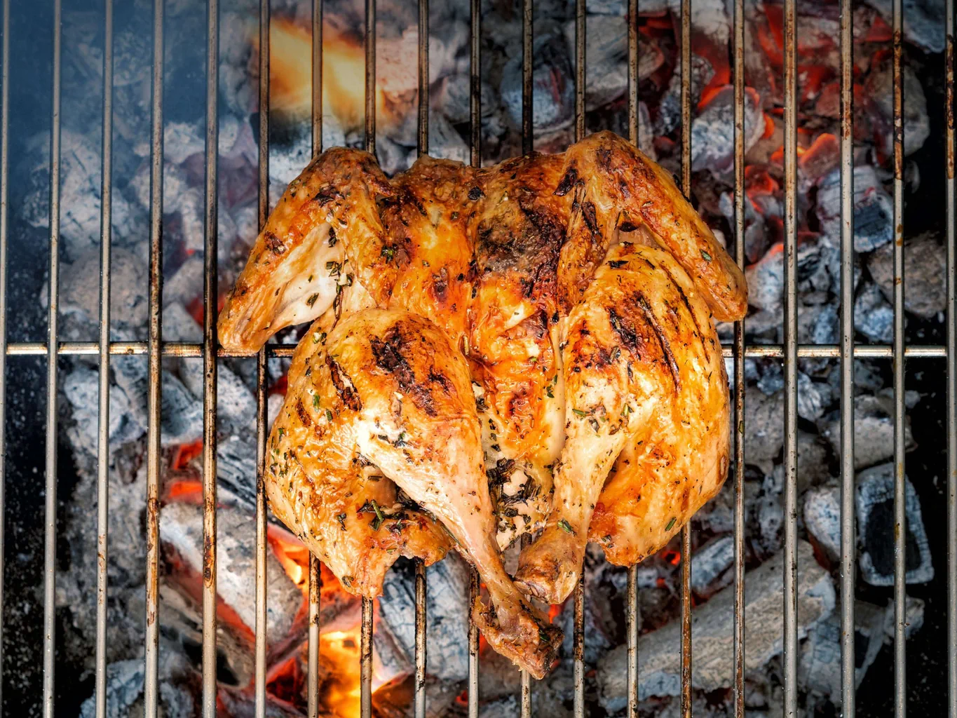 Pollo intero alla brace